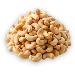 Cashew Nut Processing Machine Manufacturers in India 